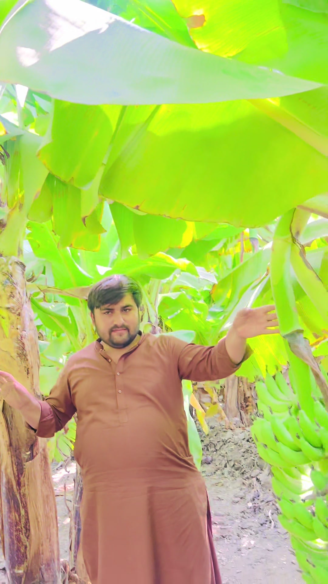 @Sardar Rafay Shaikh