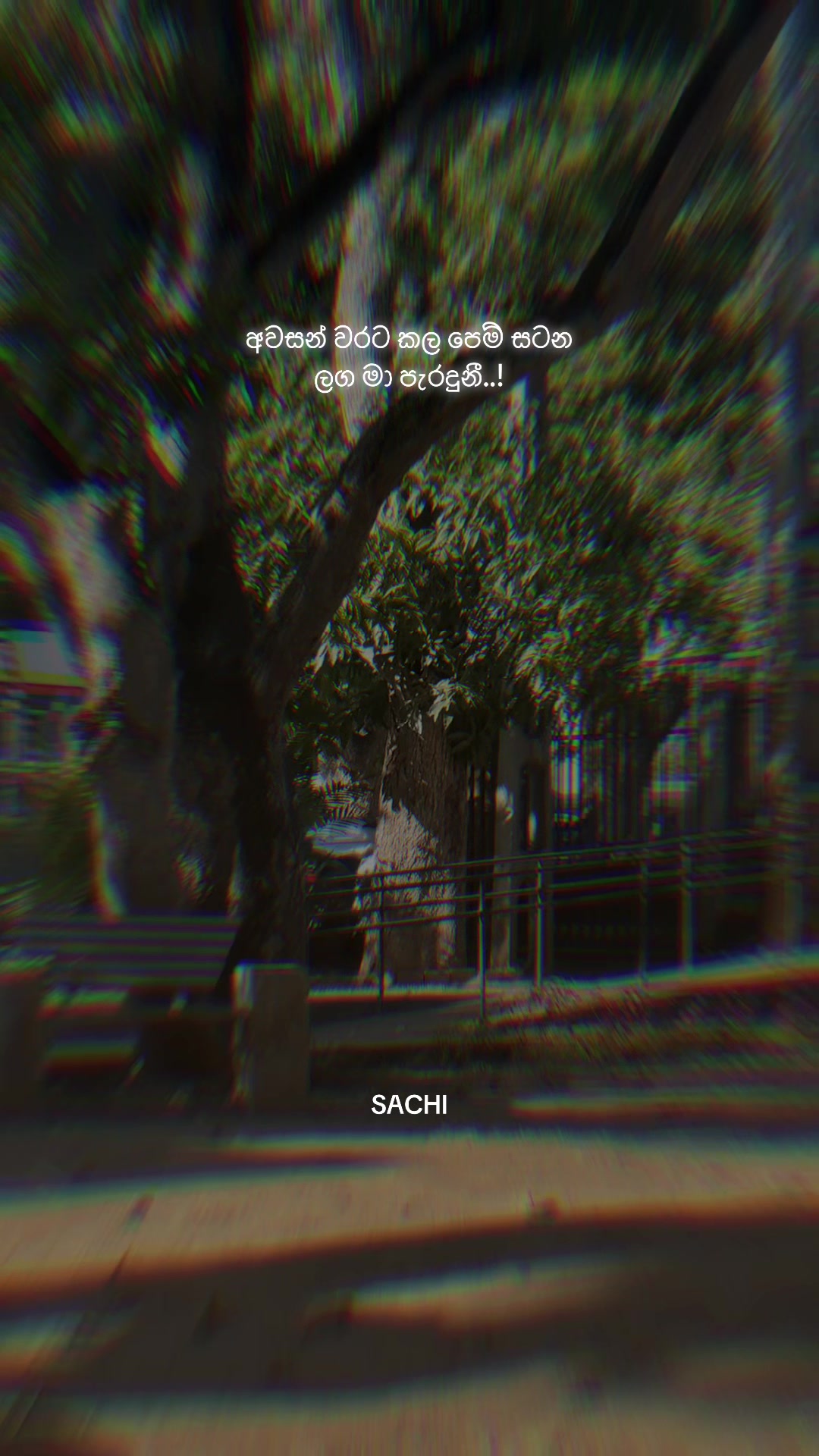 @𝙈𝙍 . 𝙎𝘼𝘾𝙃𝙄 :◉༒◉