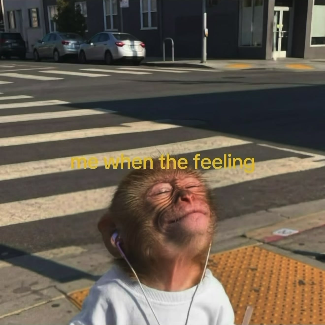 @playjoycarti