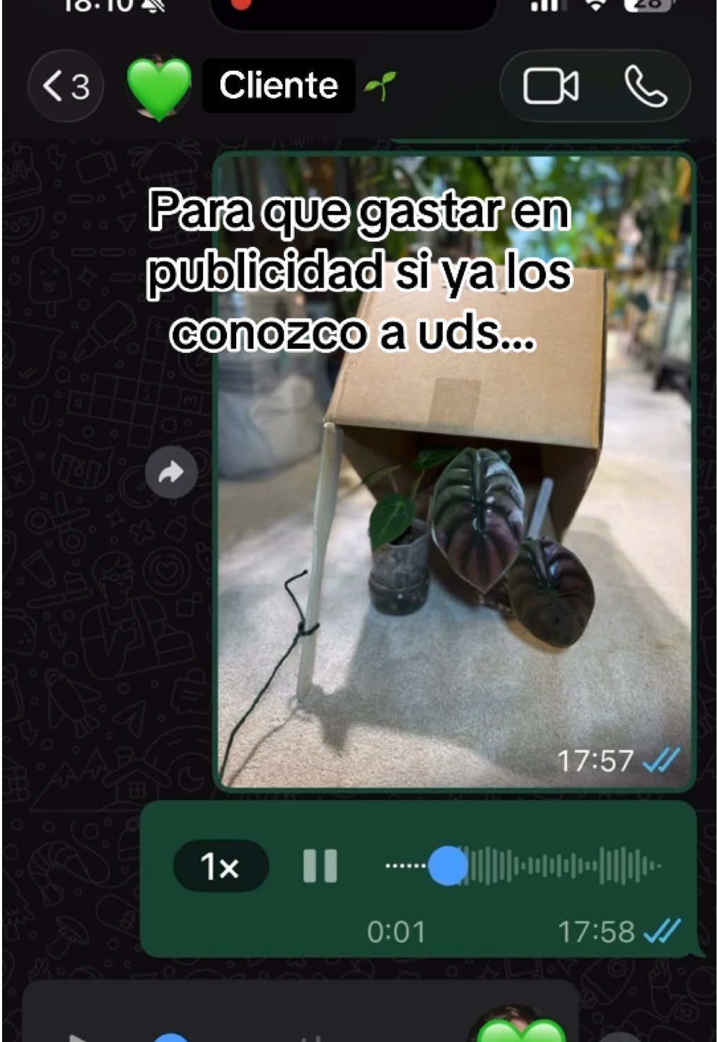 @cultivandoando