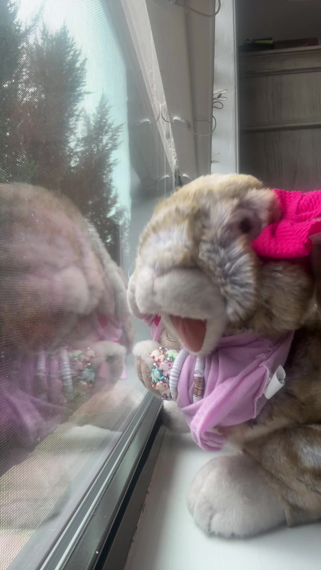 @rabbitdaisymae