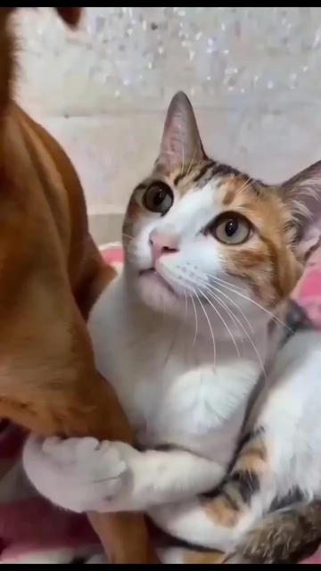 @@ไข่ตุ๋น