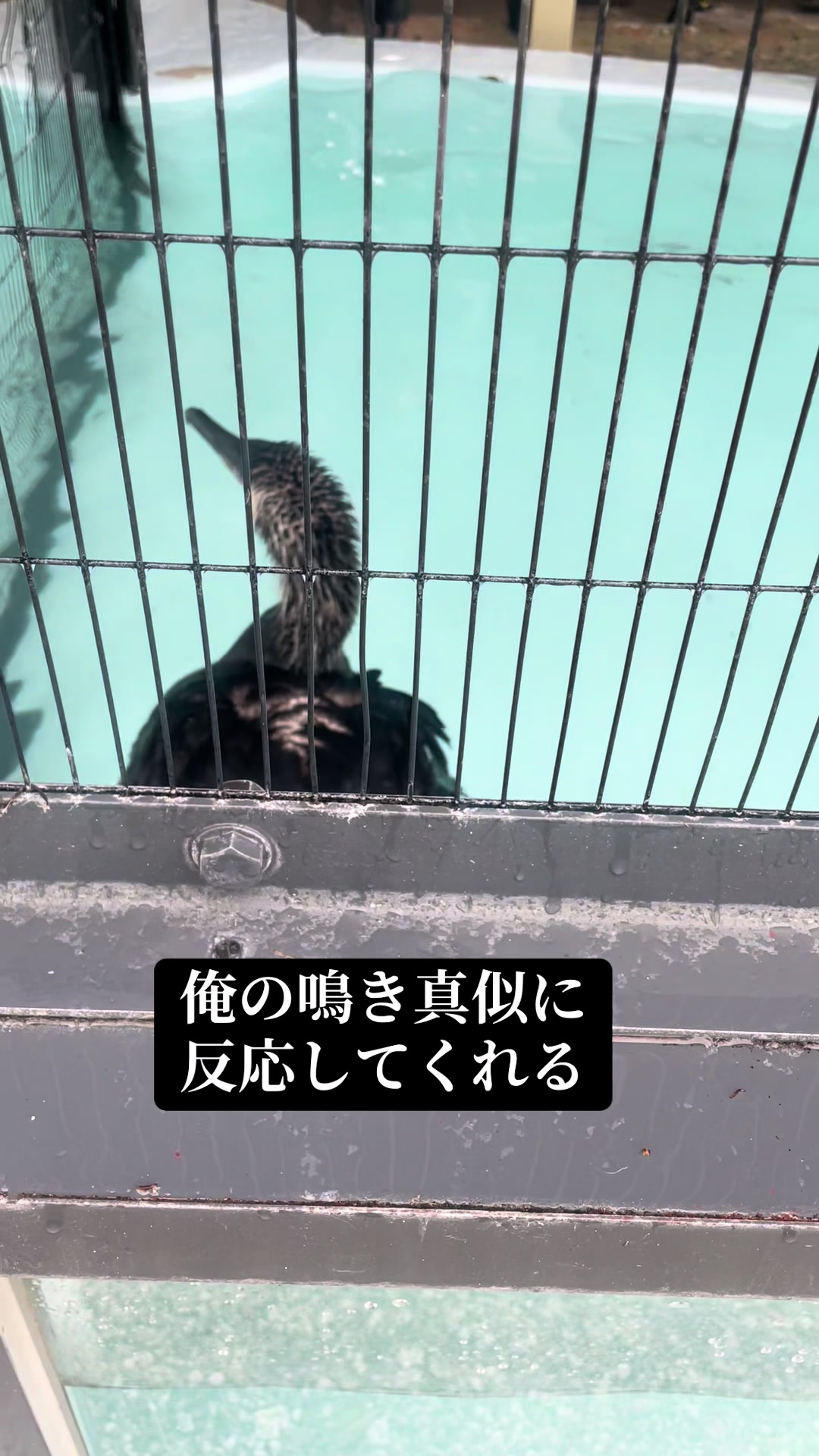 @鷹取秀次