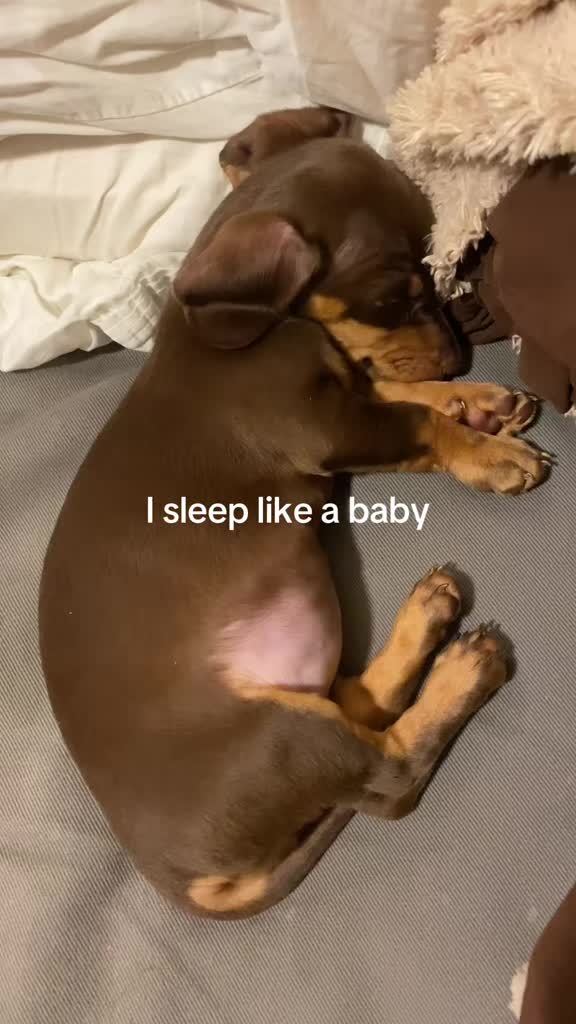 @Sarah and the Peanuts