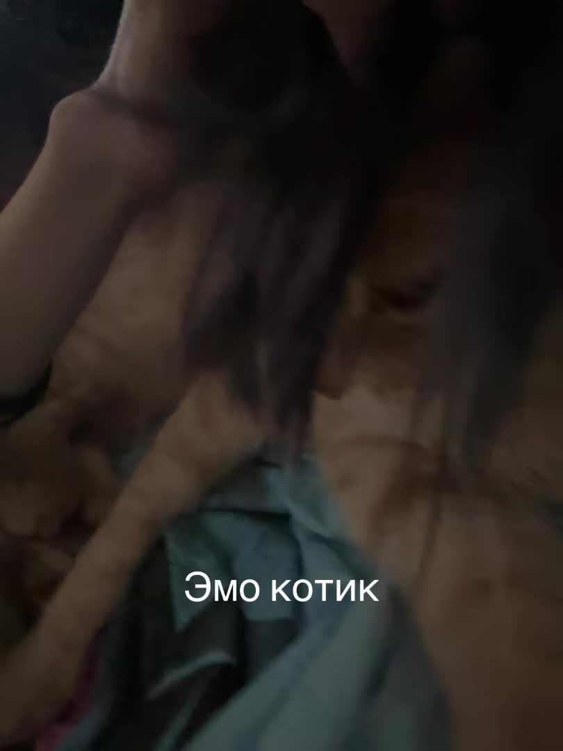 @Kotelok