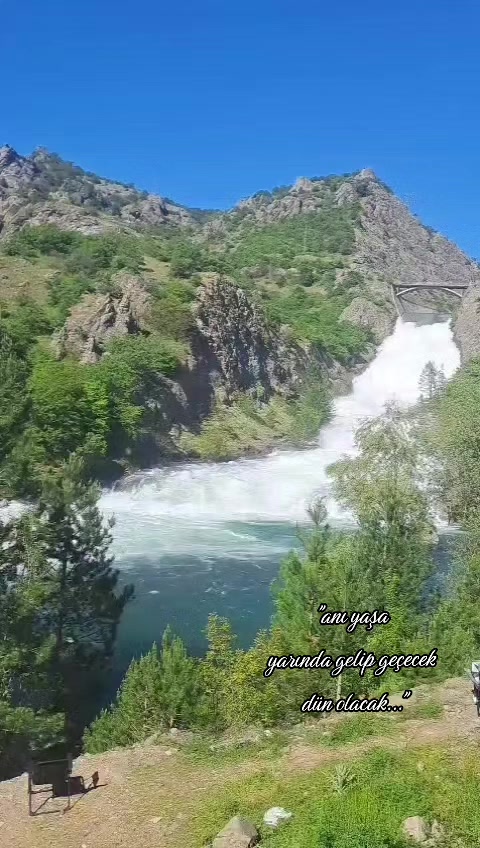 @✿ Mürüş ✿