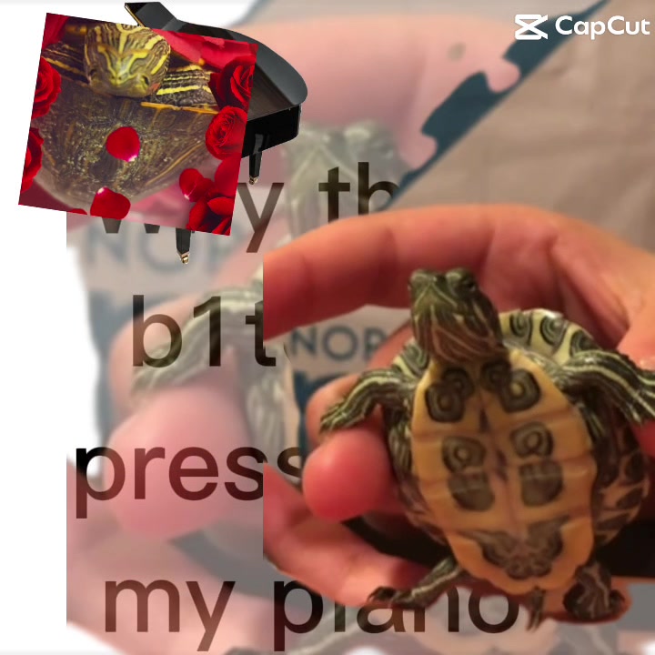 @𝕀 ᥣ᥆᥎ᥱ weplay