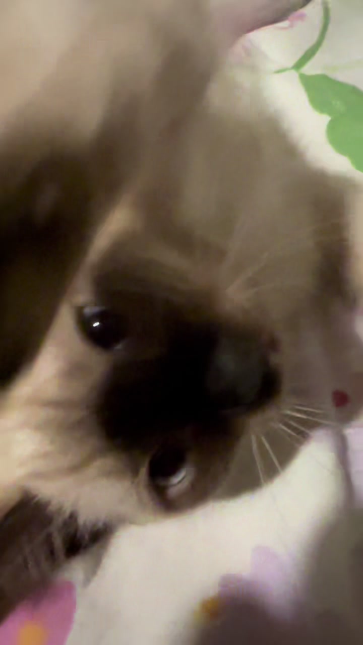 @Mirella ASMR