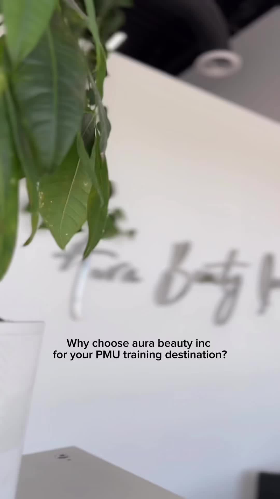 @aurabeautyinc