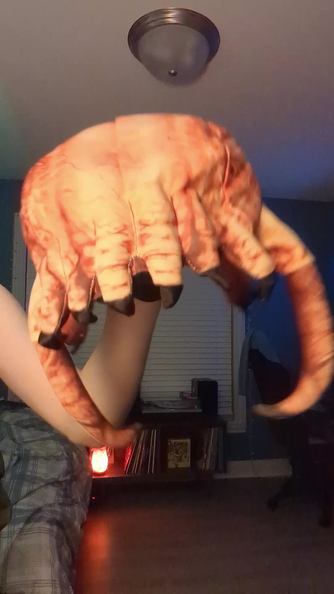 @para