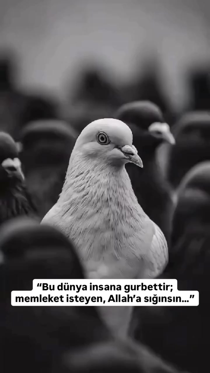 @Serkan Şimşek