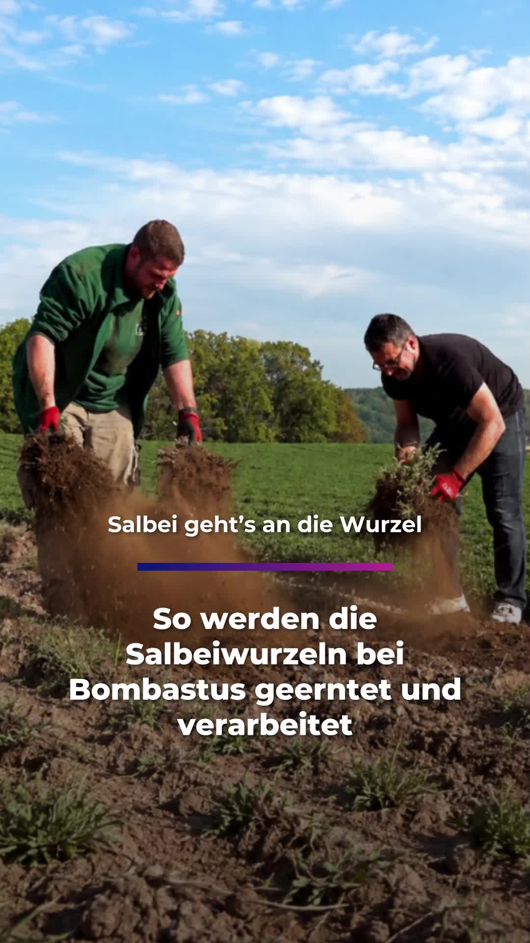@Sachsen Fernsehen
