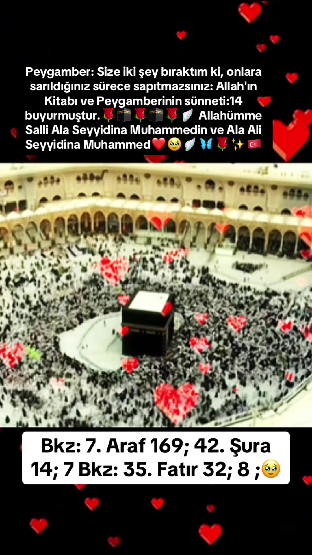 @🇹🇷 ͜͡✭𓃥 αүүιℓ∂ιz🦅🐺🤘A.S✨9