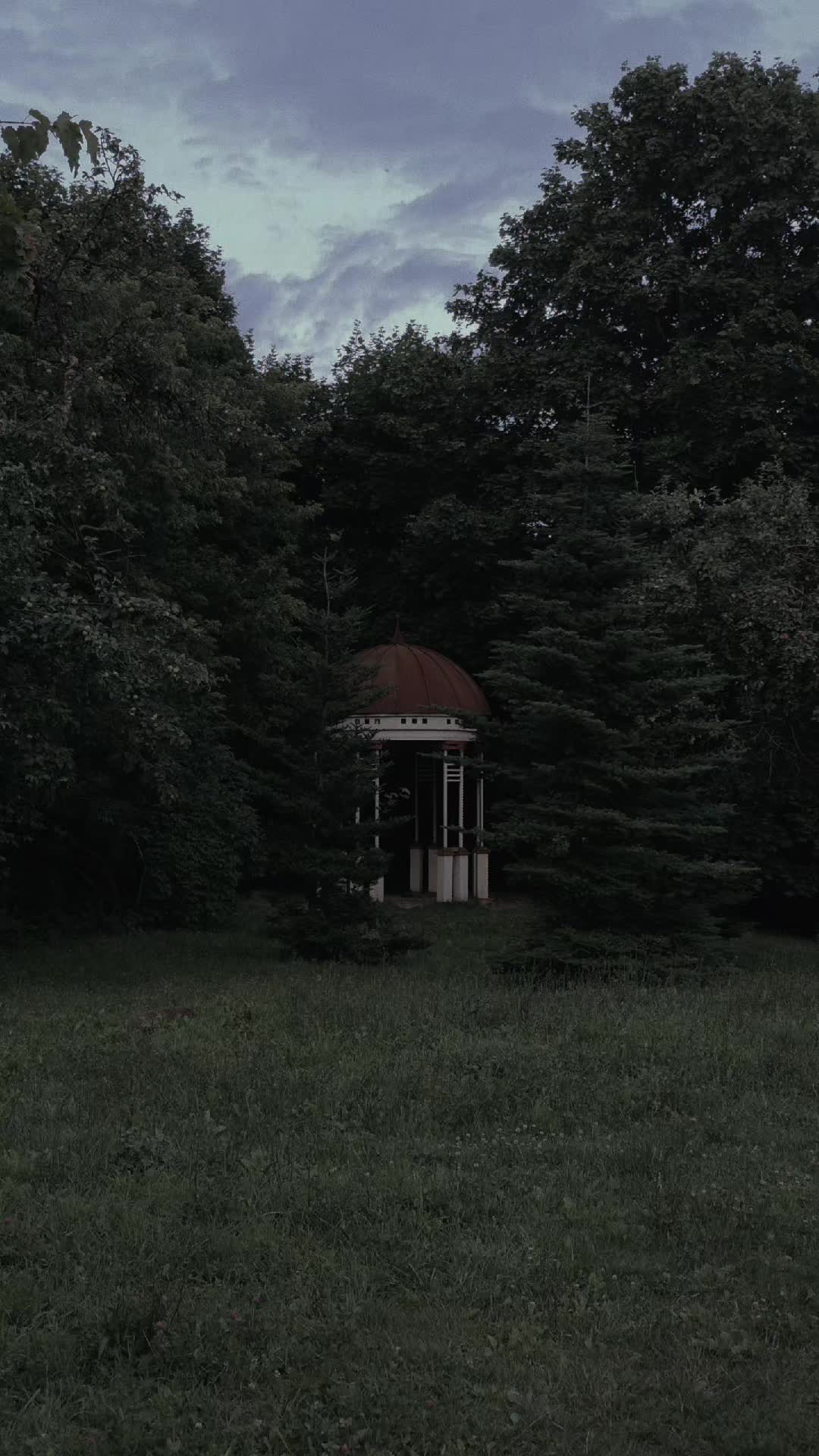 @альва ⋆.˚☾