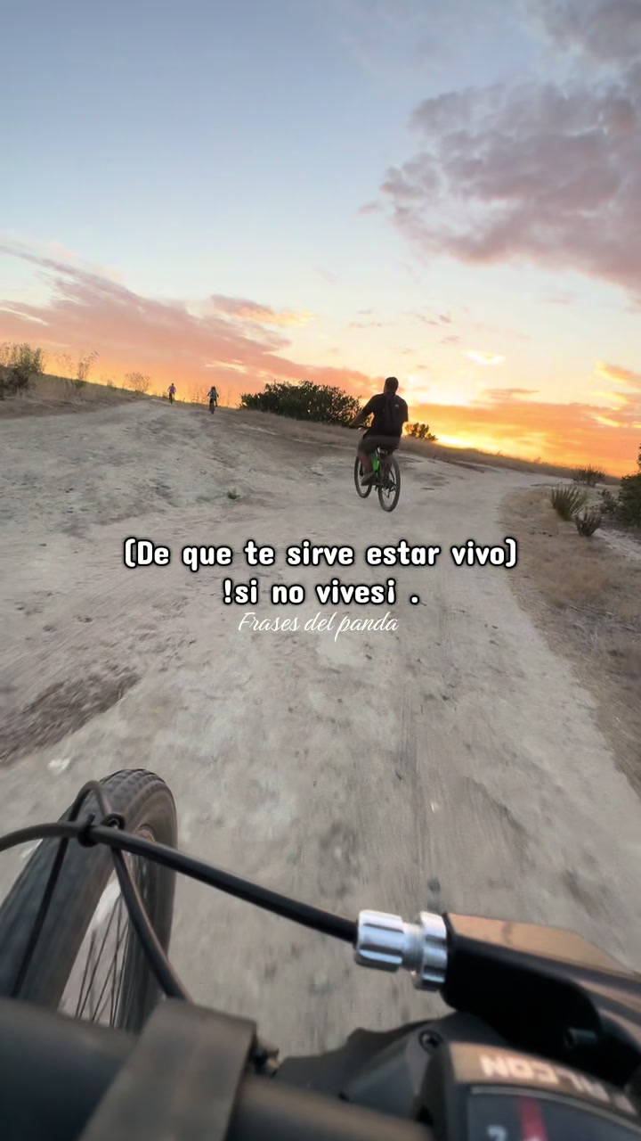 @frases del panda 🥷🏽