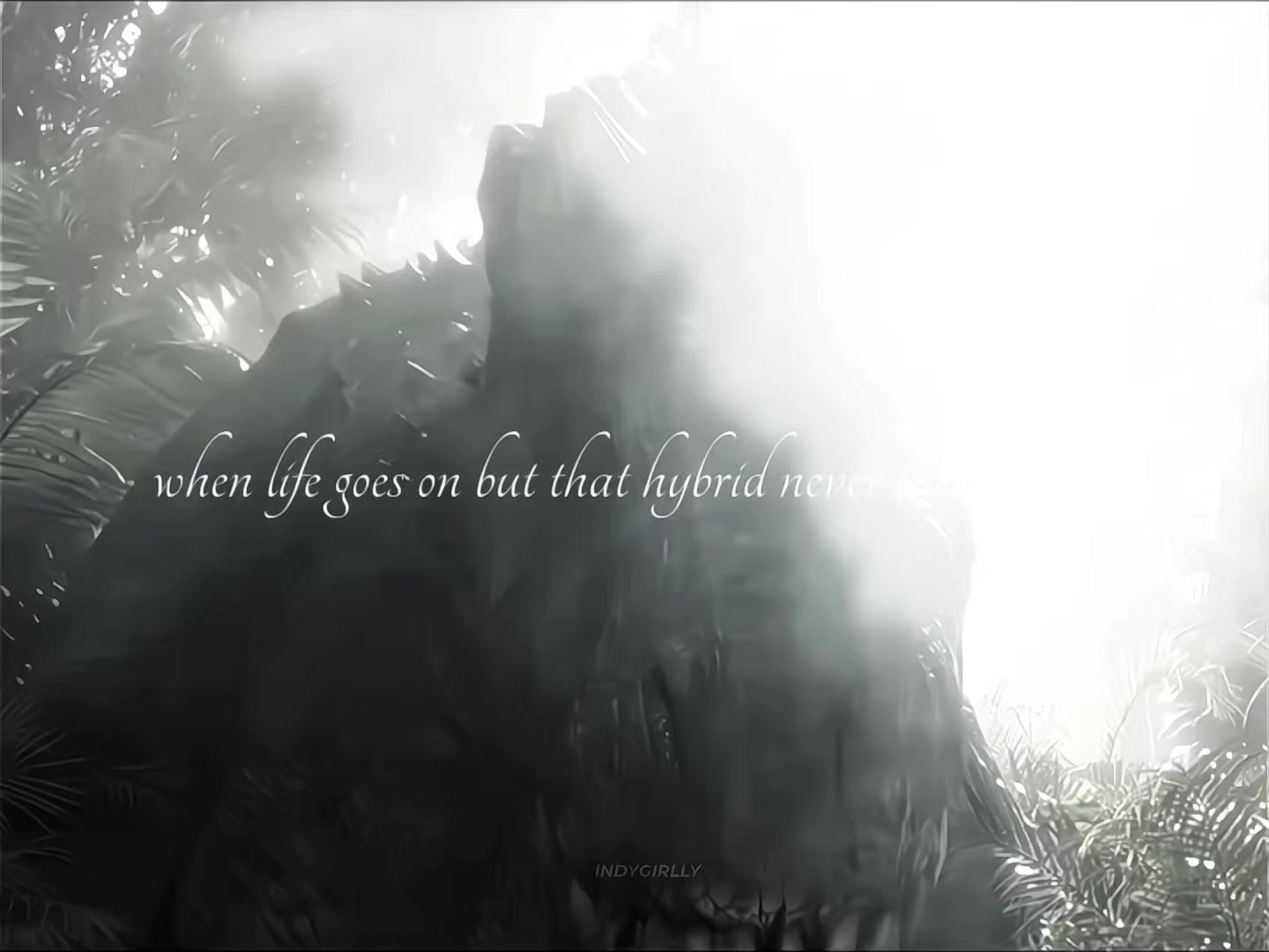 @𝐼𝑁𝐷𝑌𝐺𝐼𝑅𝐿𝐿𝑌
