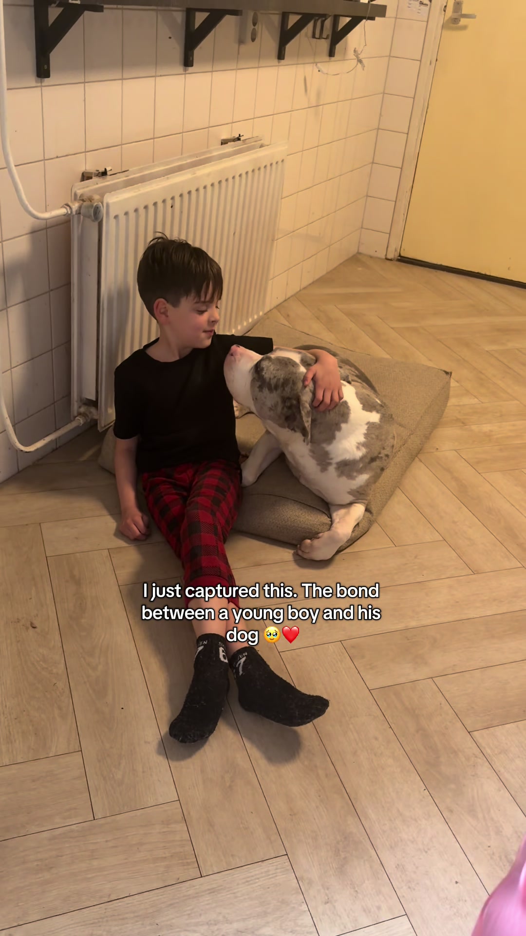 @Maren & the bundle of bullies