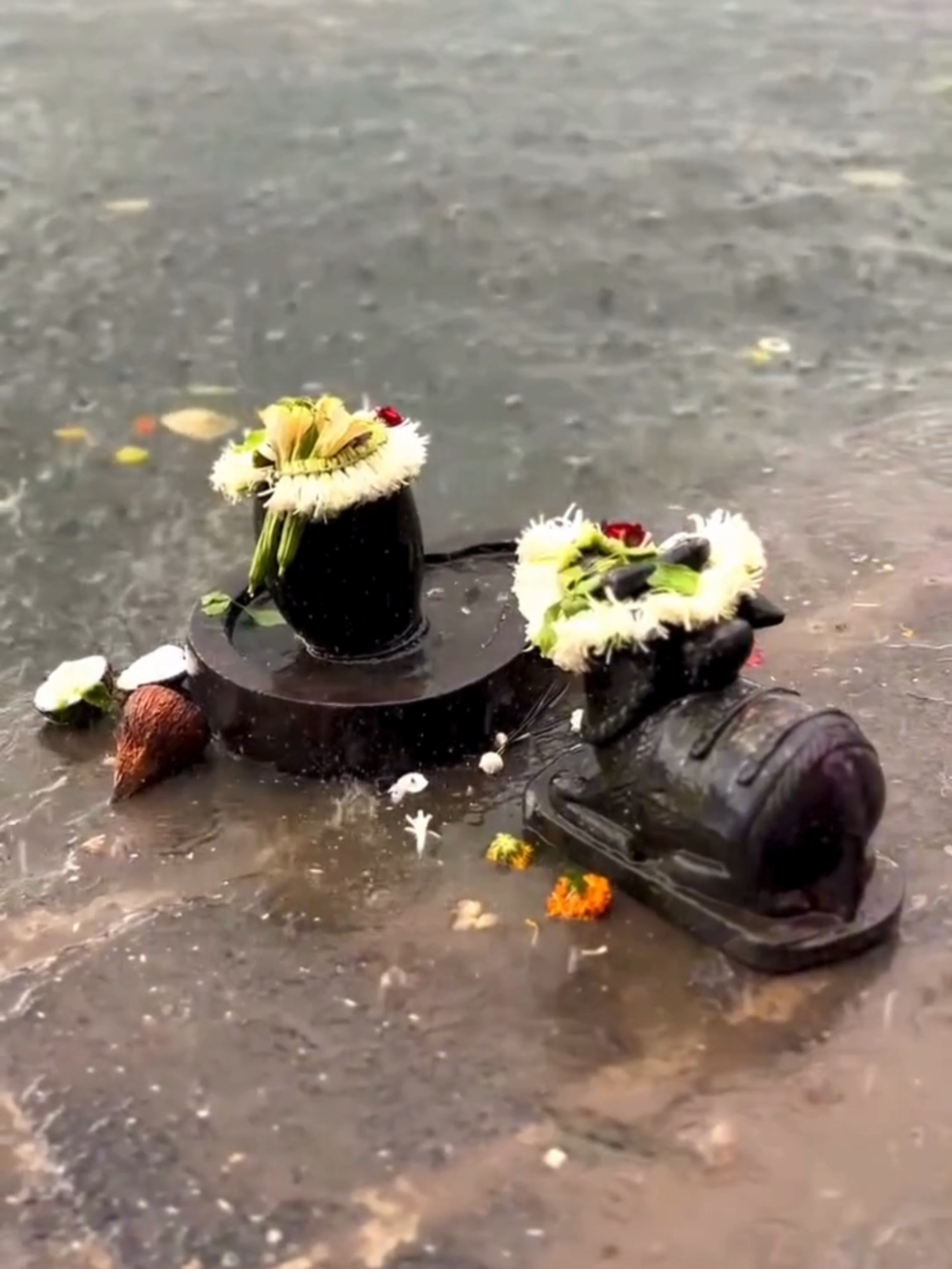 @➳🧡शिवभक्त 🚩🥀꧂