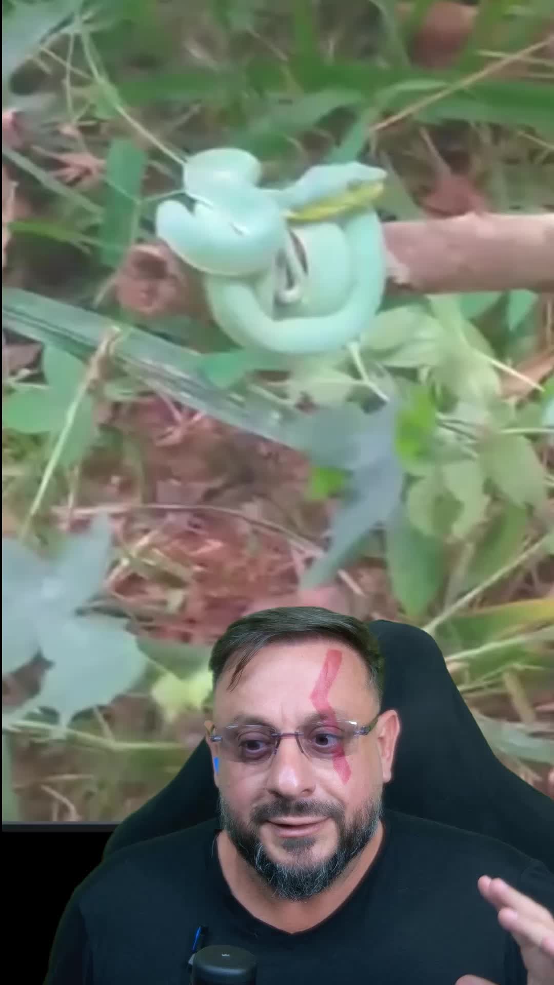 @Biólogo Henrique