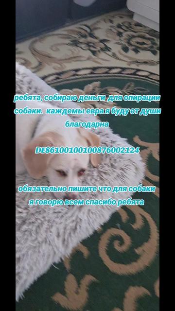 @🐍ВИКондА🐍