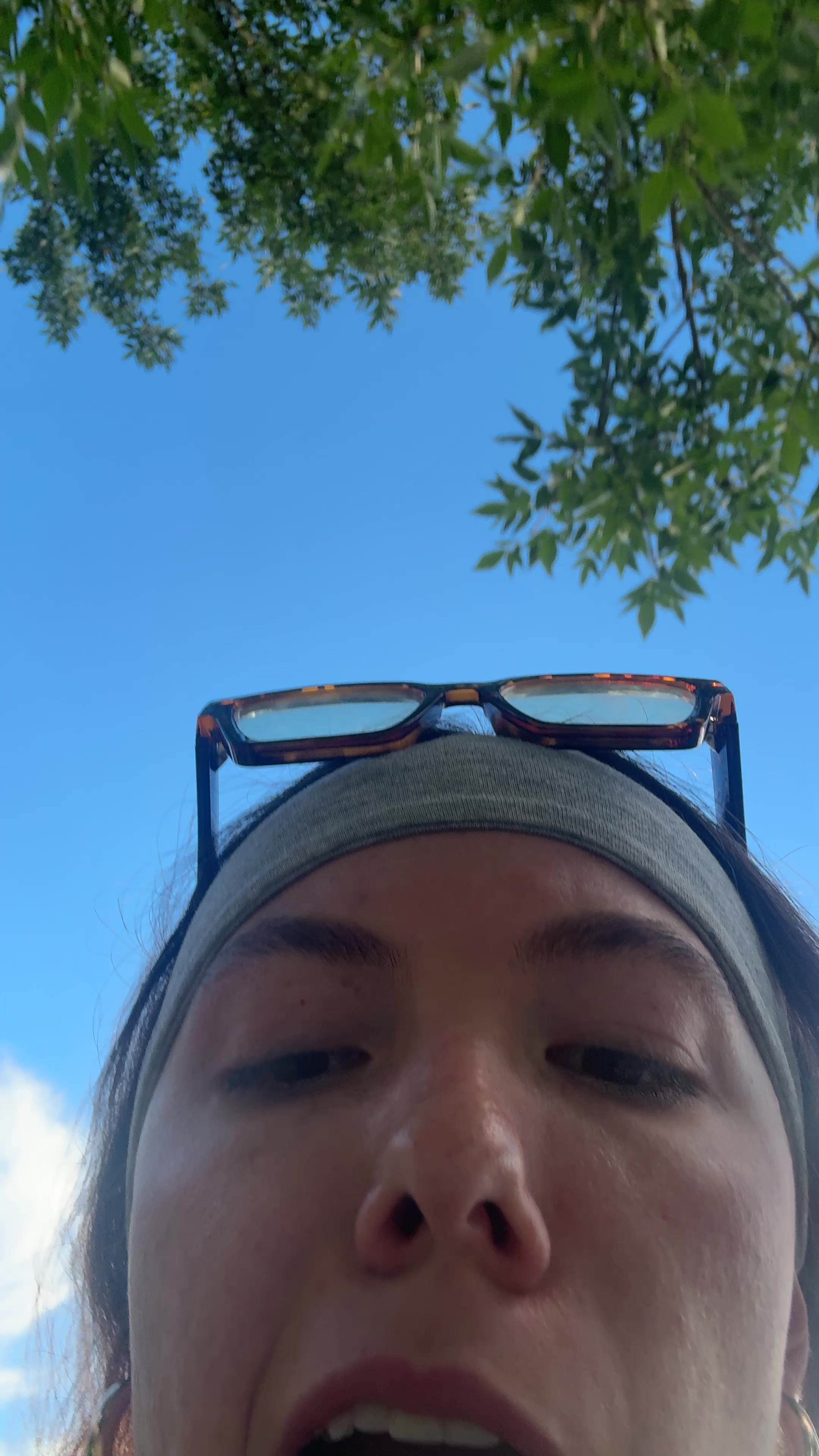 @sophsokol