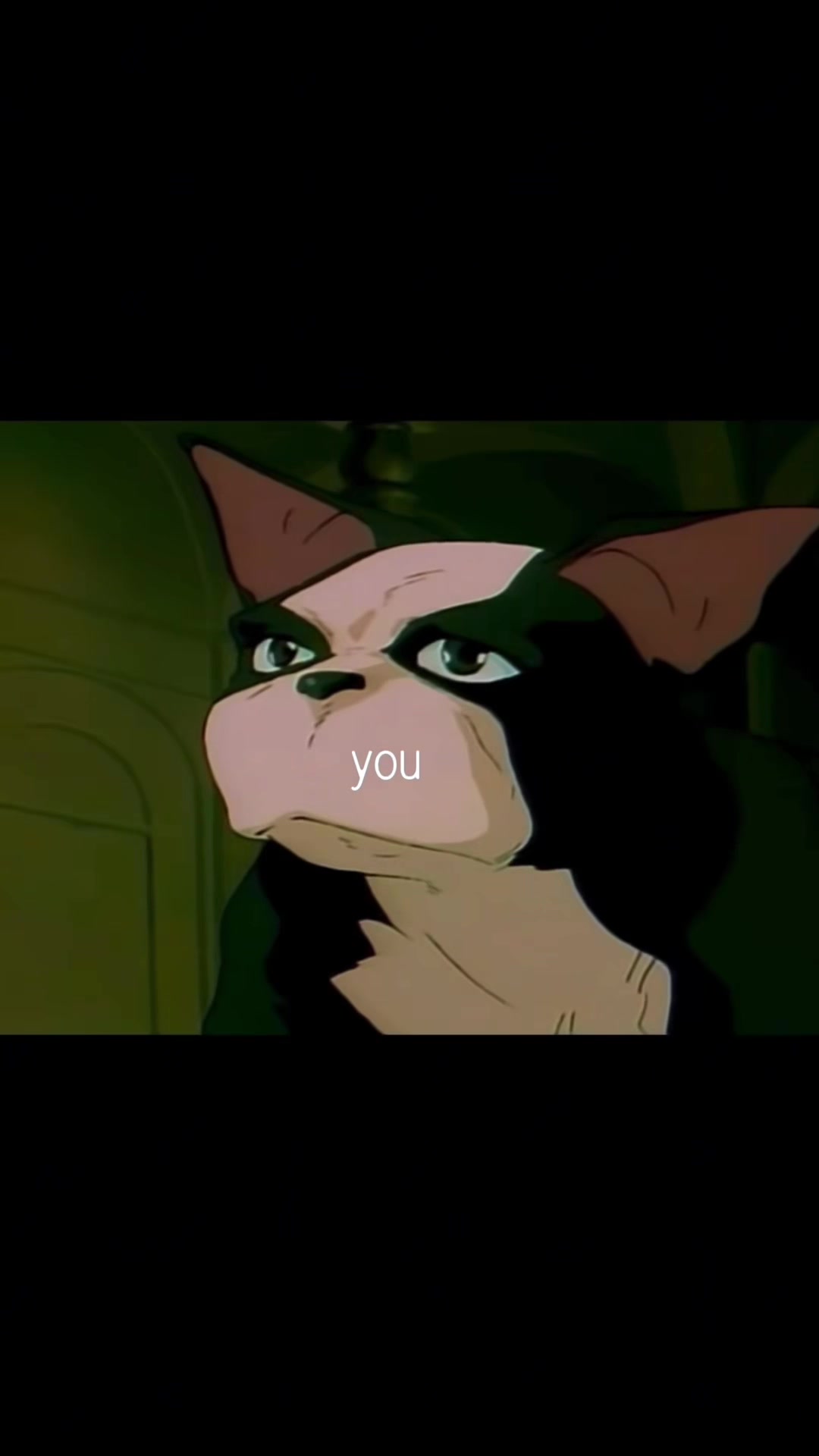 @ezra__starsh