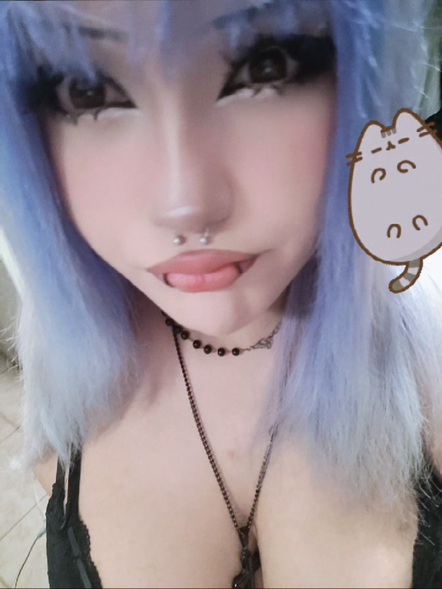 @kitty≽(•⩊ •マ≼