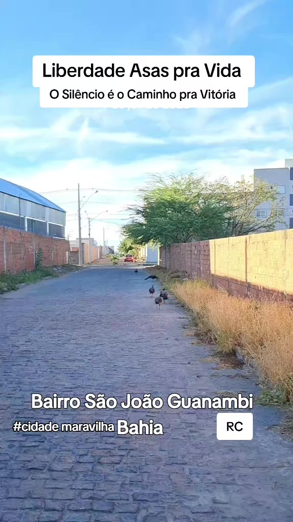 @RoberttoCarllos12
