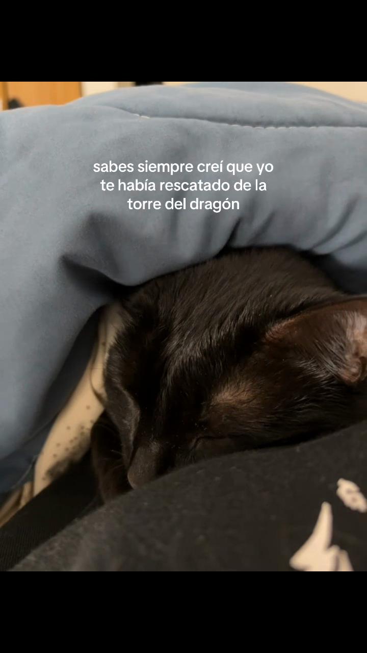 @maarrrti_