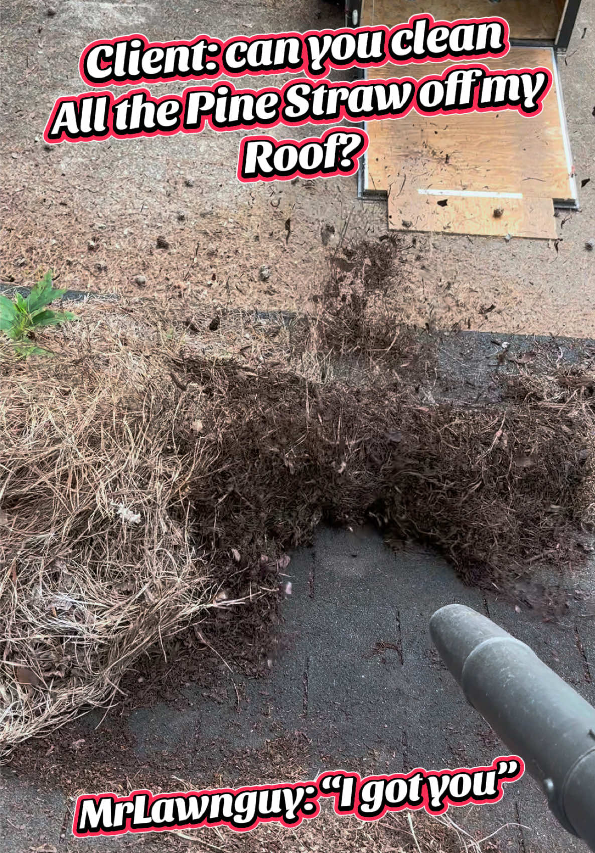 @MrLawnGuy