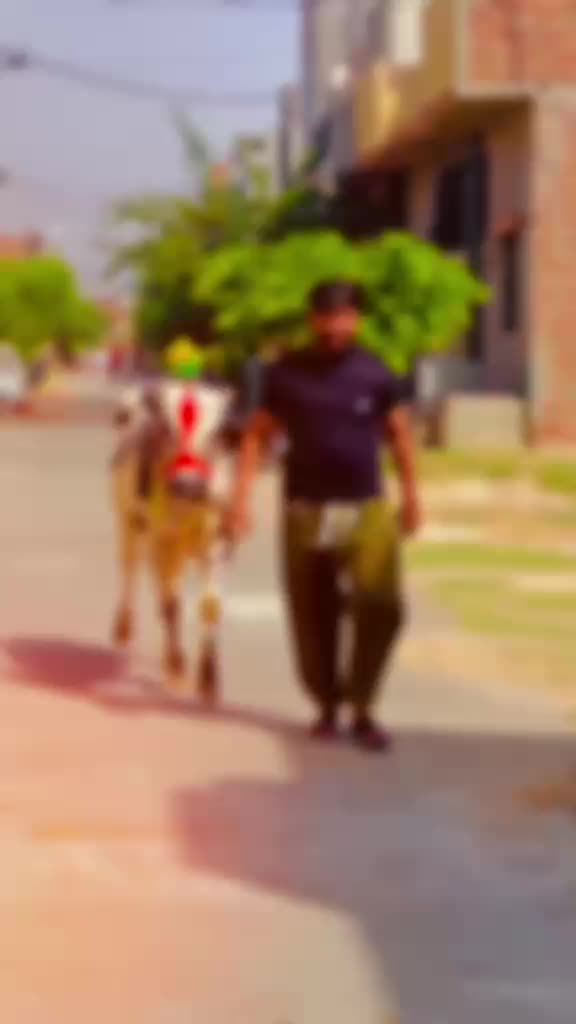 @🇵🇰Raa Tota🦜🇭🇲