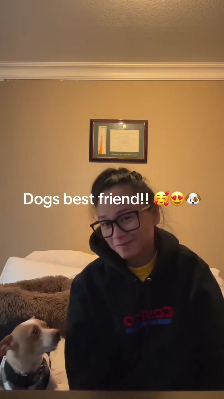 @ktphammie
