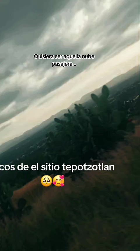 @Anita araujo 🥺🥰