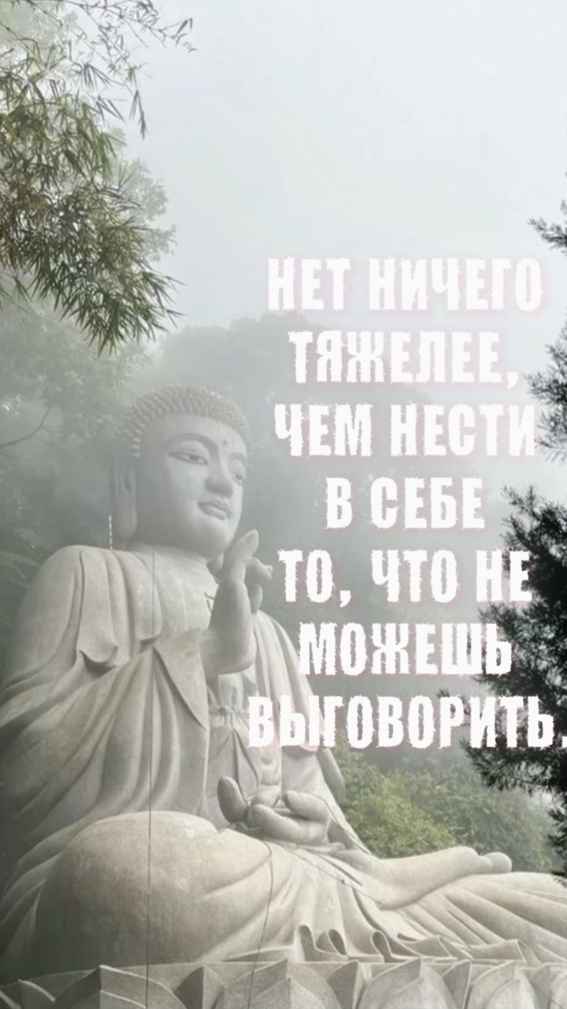 @Пожилой паук