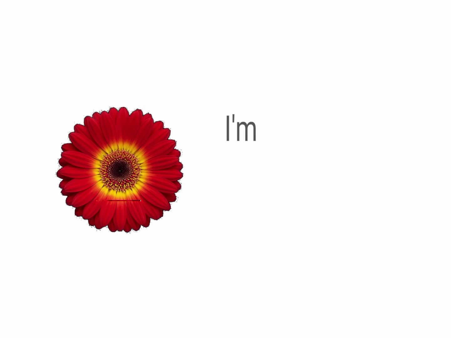 @︎ ︎ ︎ ︎ ︎︎︎︎︎︎︎︎︎︎︎Jed ︎ ︎ ︎ ︎
