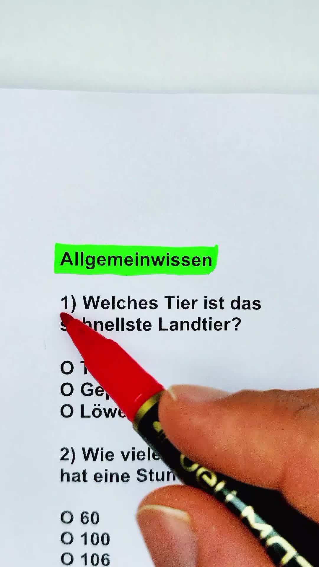 @QuizZeit