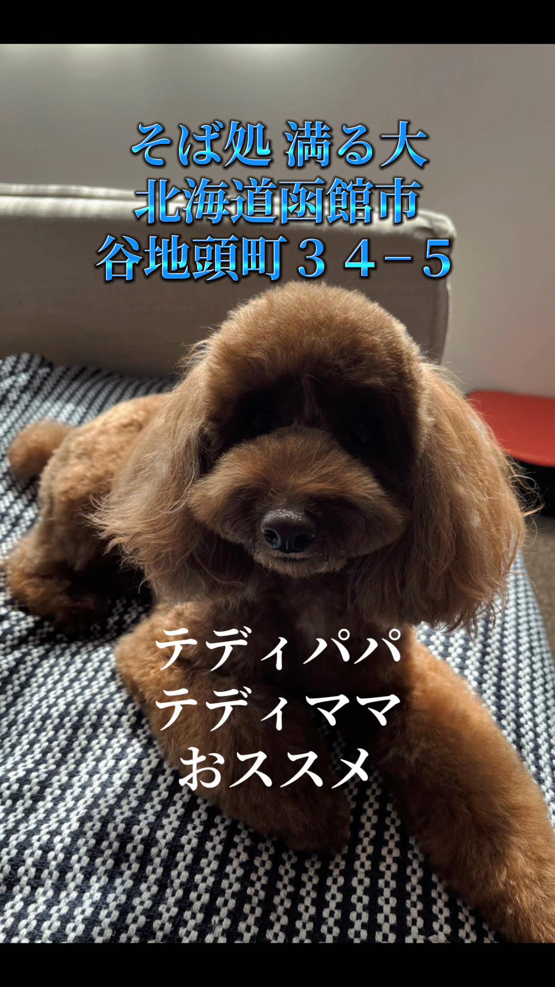 @テディきち