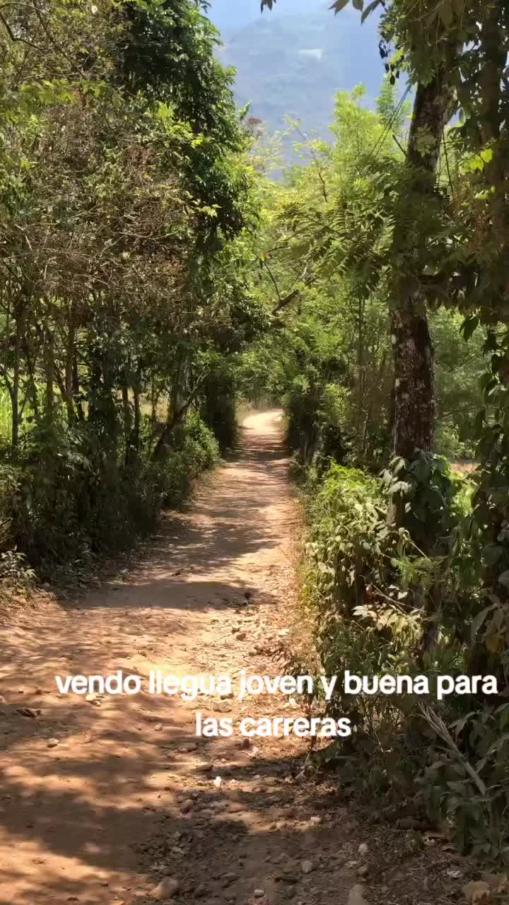 @Fernando Pineda