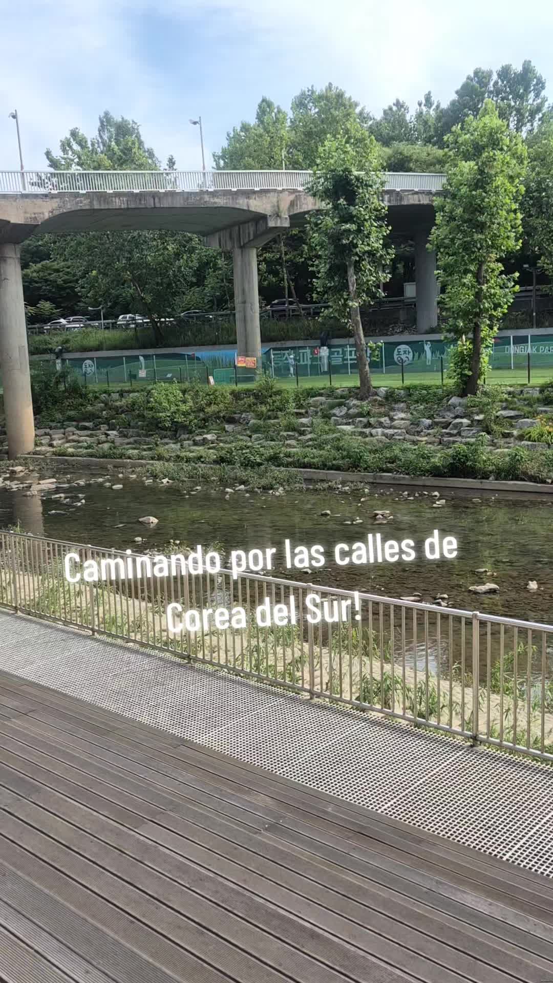 @Maribel Ocampo