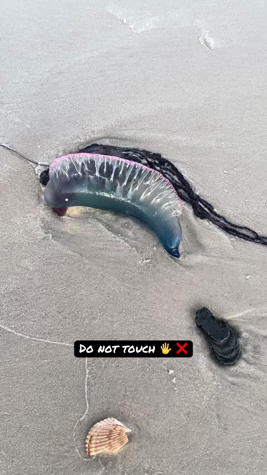 @explore.the.shore