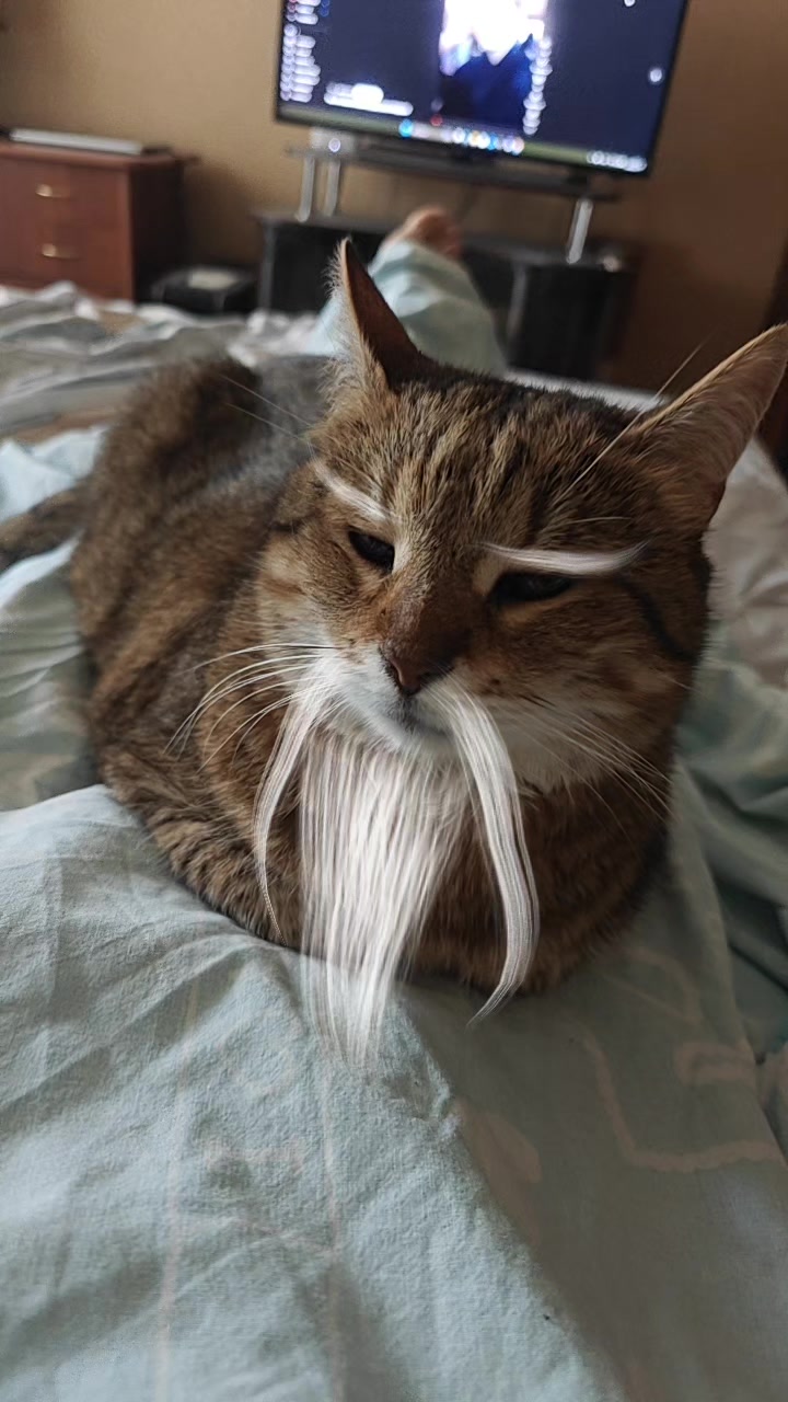 @КотоДім Cat House
