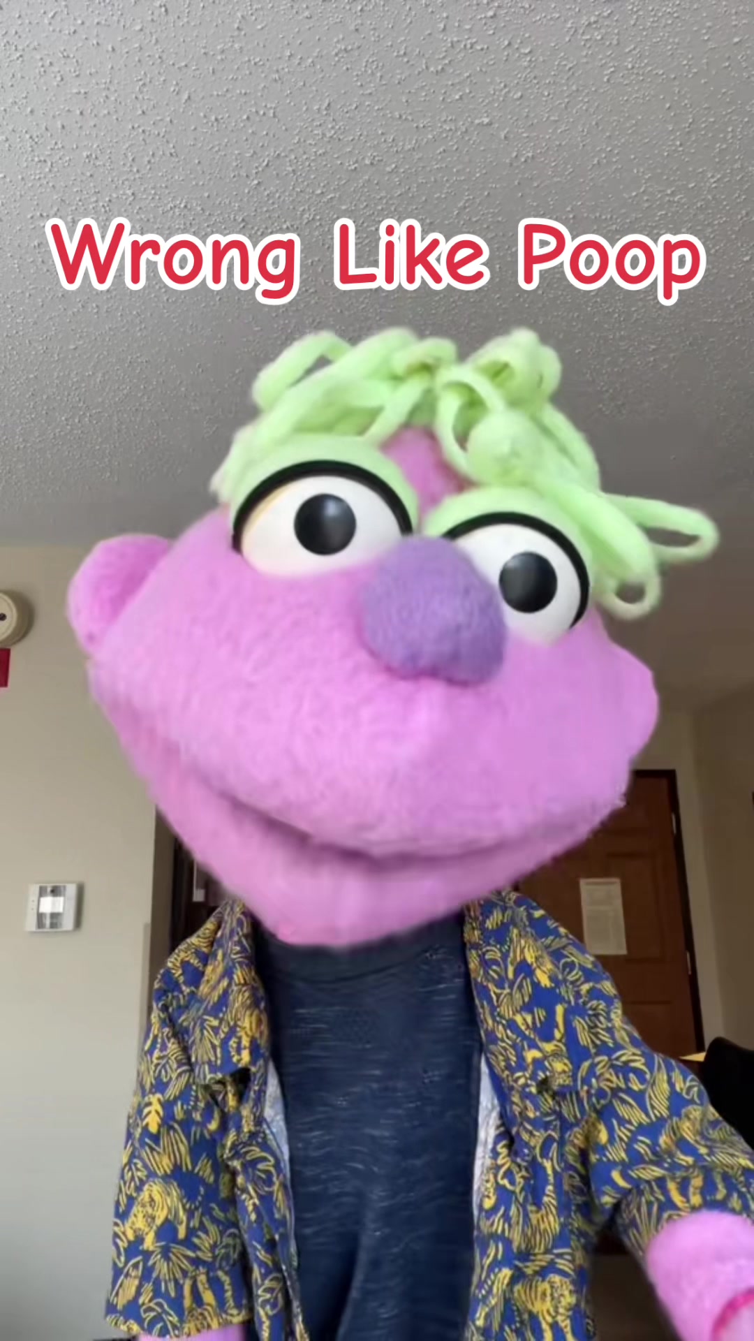 @𝘋𝘪𝘯𝘹 𝘵𝘩𝘦 𝘗𝘶𝘱𝘱𝘦𝘵