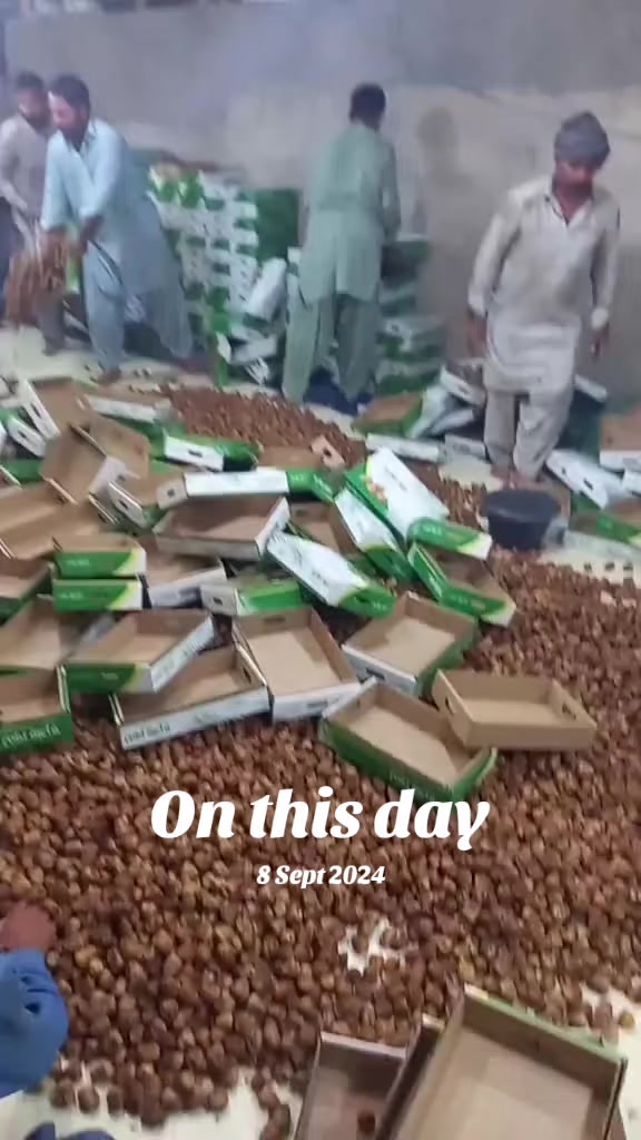 @🤝⚘️Akhtar ✌️Khan 🇸🇦🇵🇰💯💯