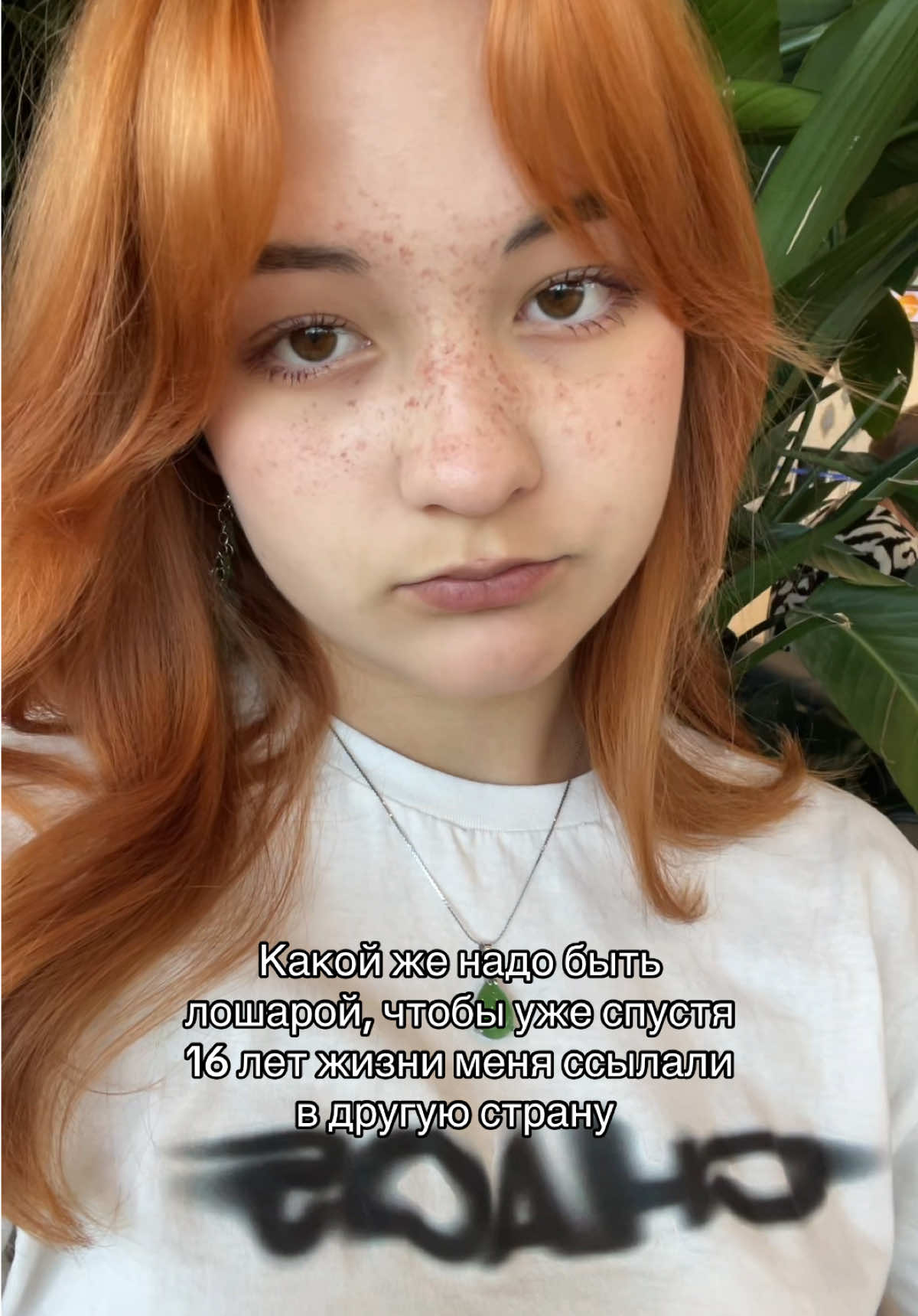 @vvensitt 𓆩♡𓆪