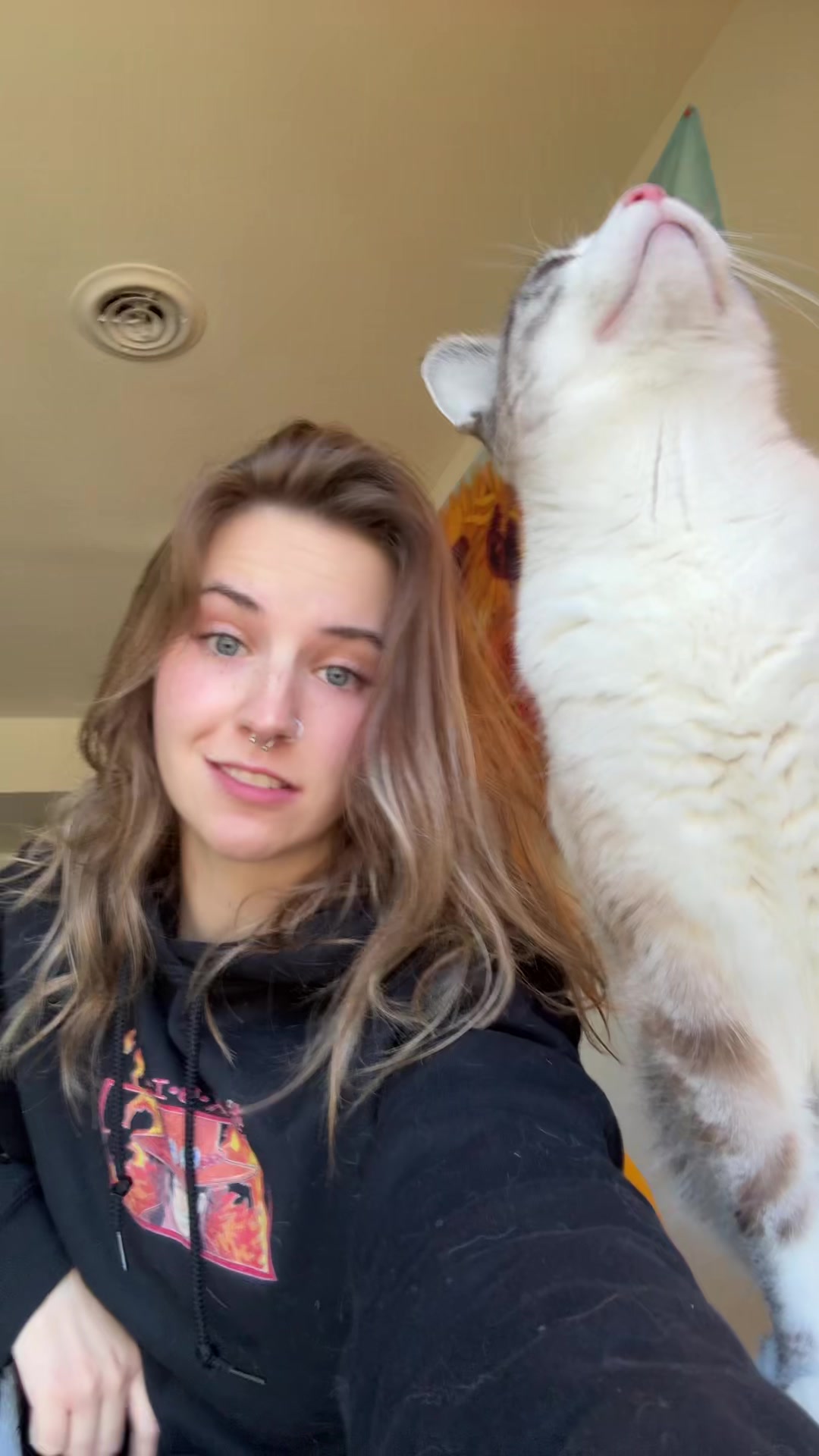 @Captain Kat