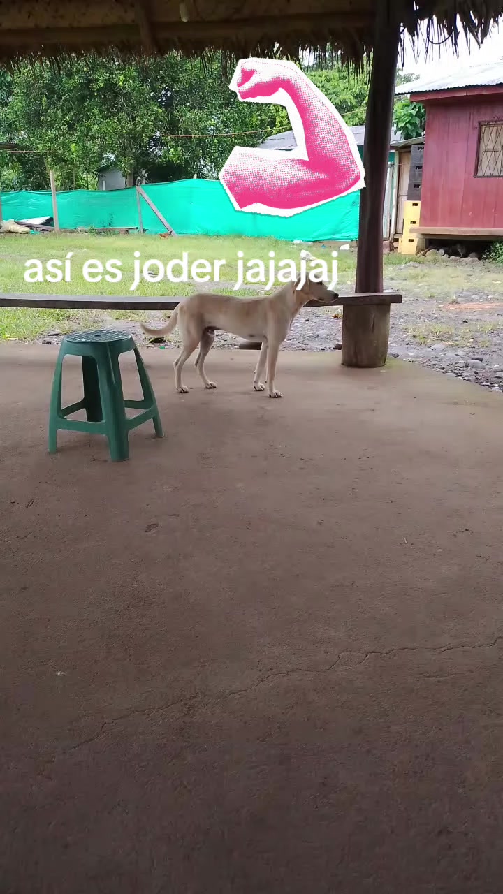 @ivan chiguango