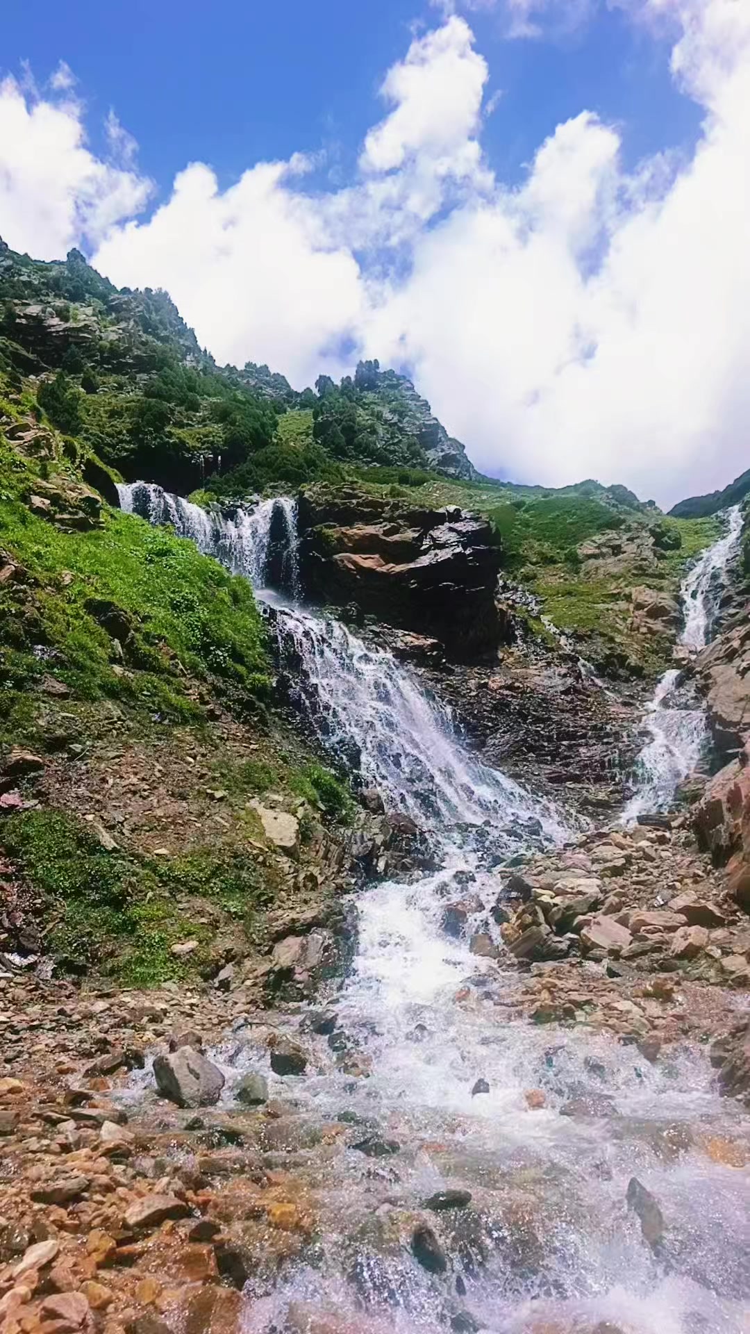 @𝗔𝗿𝘀𝗵𝗮𝗱_𝗞𝗵𝗼𝗸𝗵𝗮𝗿💕