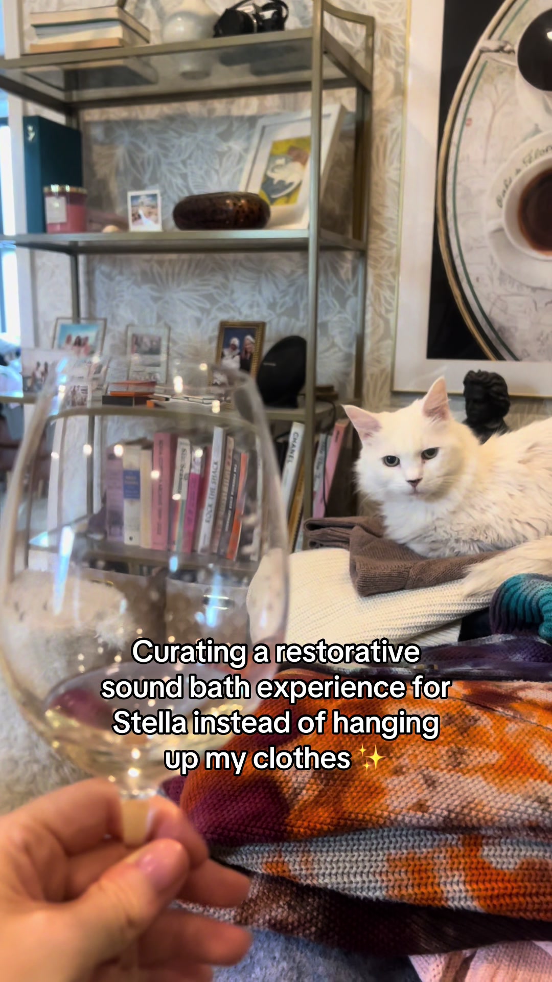 @seeaster