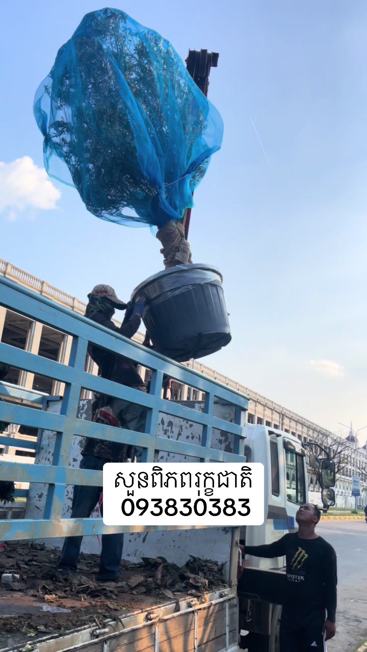 @ពិភពរុក្ខជាតិ - Plants World