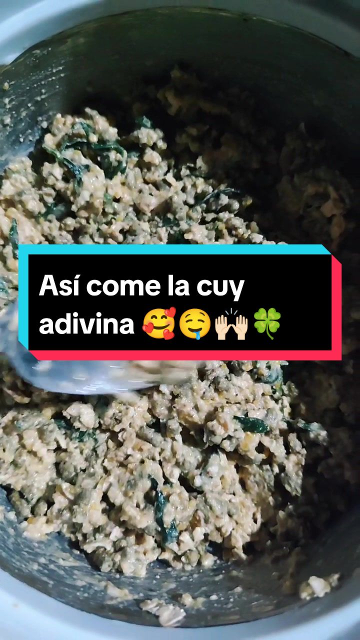 @La cuy adivina